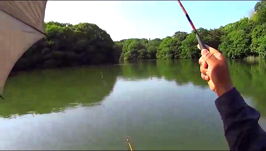 钓鱼:小河的入水口,藏着这么多大鱼,还时不时往上跳!